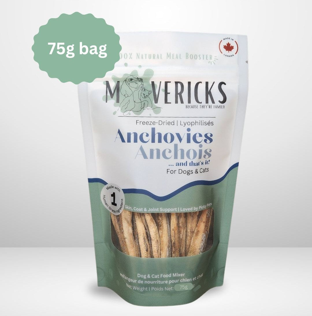Freeze Dried Anchovies BIG bag For Dogs & Cats, Food Topper