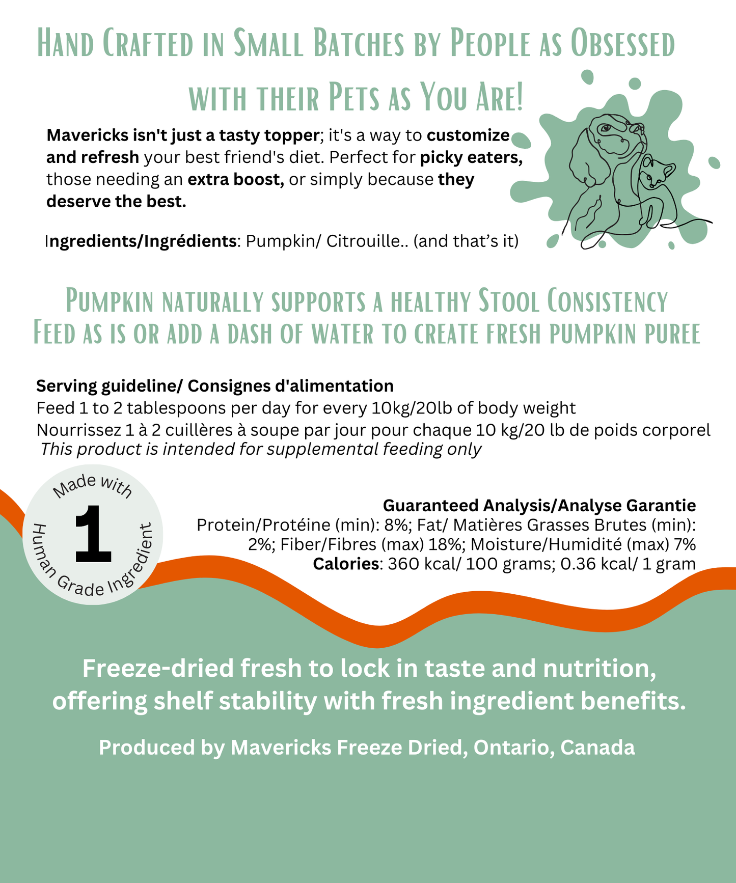 Freeze Dried Pumpkin BIG bag for Dogs & Cats - Gut & Stool Support Dog and Cat Food Topper