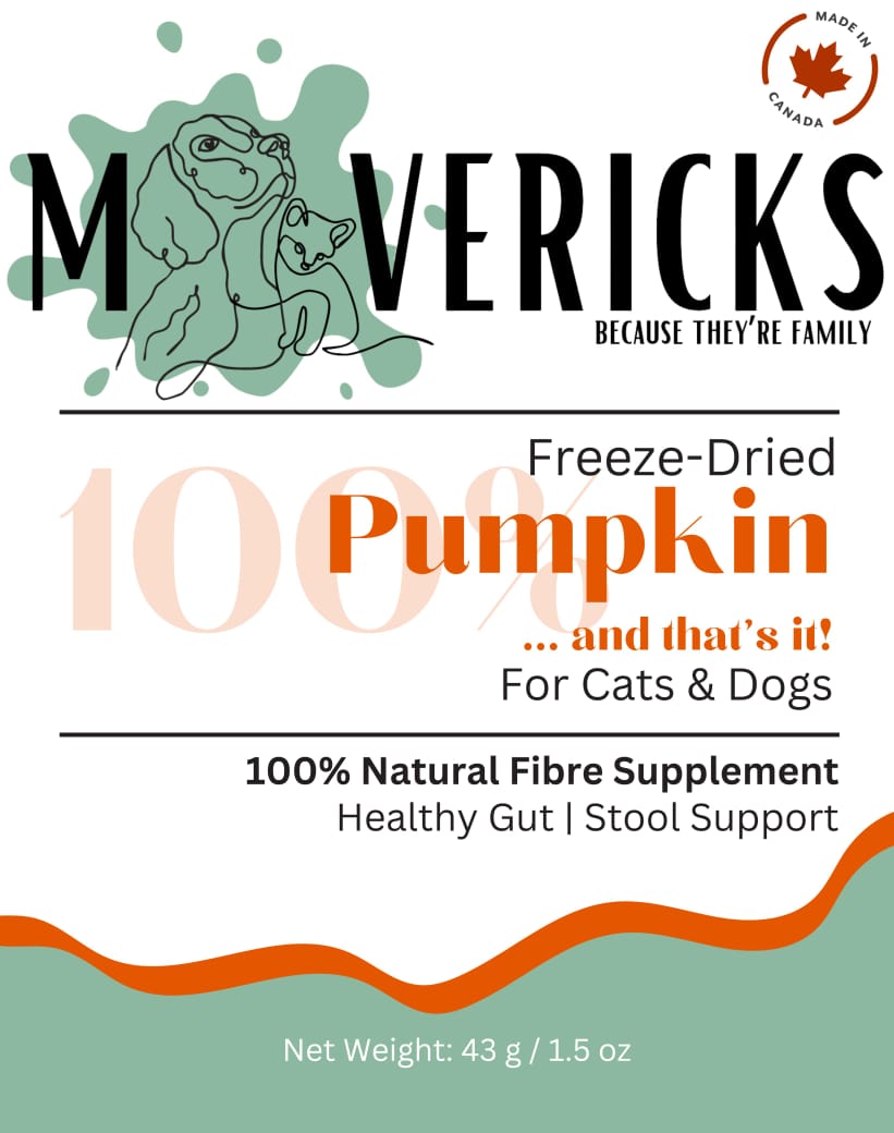 Freeze dried pumpkin for dogs best sale