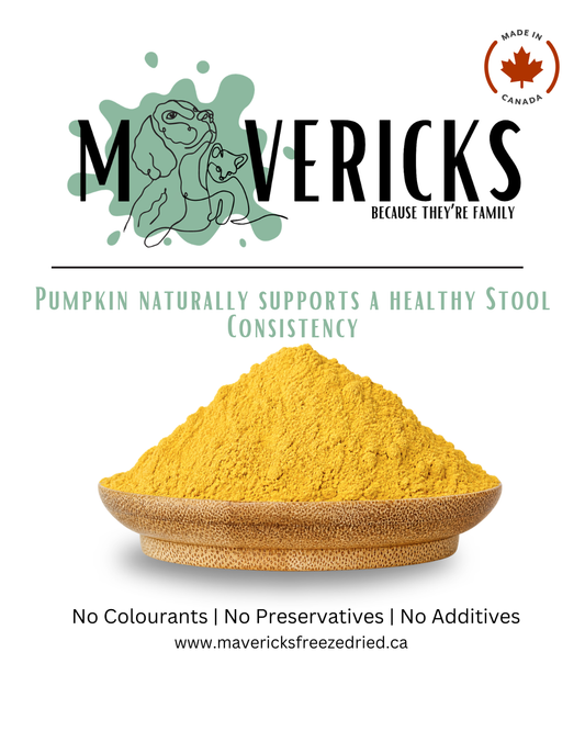 Freeze Dried Pumpkin for Dogs & Cats - Gut & Stool Support Dog and Cat Food Topper