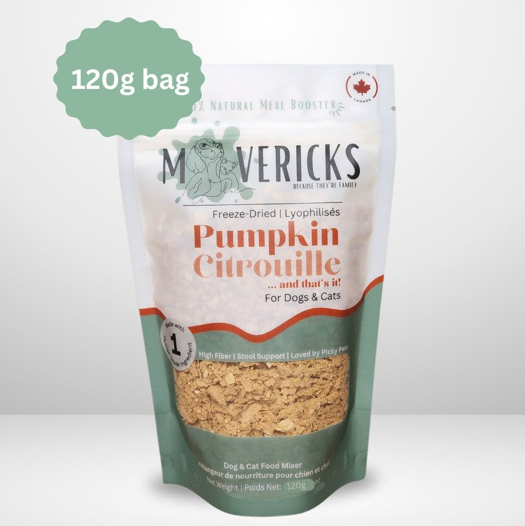 Freeze Dried Pumpkin BIG bag for Dogs & Cats - Gut & Stool Support Dog and Cat Food Topper