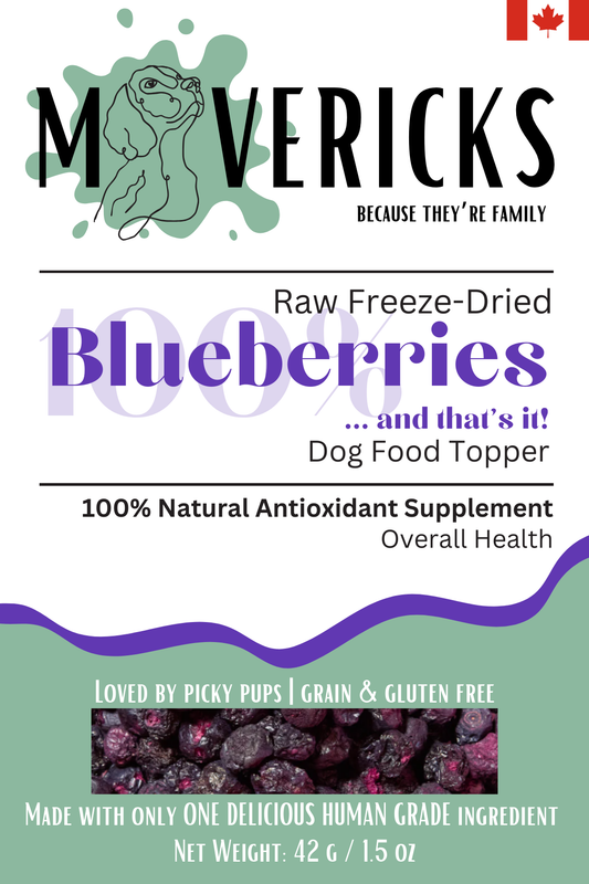 Freeze Dried Blueberries for Dogs - Overall Health Dog Food Topper