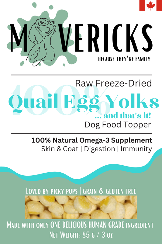 Freeze Dried Quail Egg Yolks for Dogs, Skin & Coat, Antioxidant Dog Food Topper