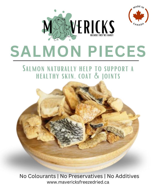 Freeze Dried Salmon for Dogs & Cats - Skin and Coat Support Dog and Cat Food Topper